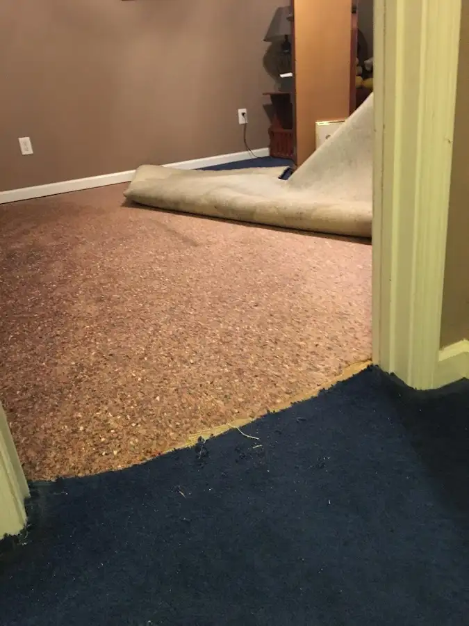 Carpet pad removal revealing water damage during Drying & Dehumidification in St. Louis
