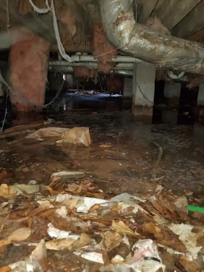 Crawl space flood assessment for Leak Detection & Repair in St. Louis